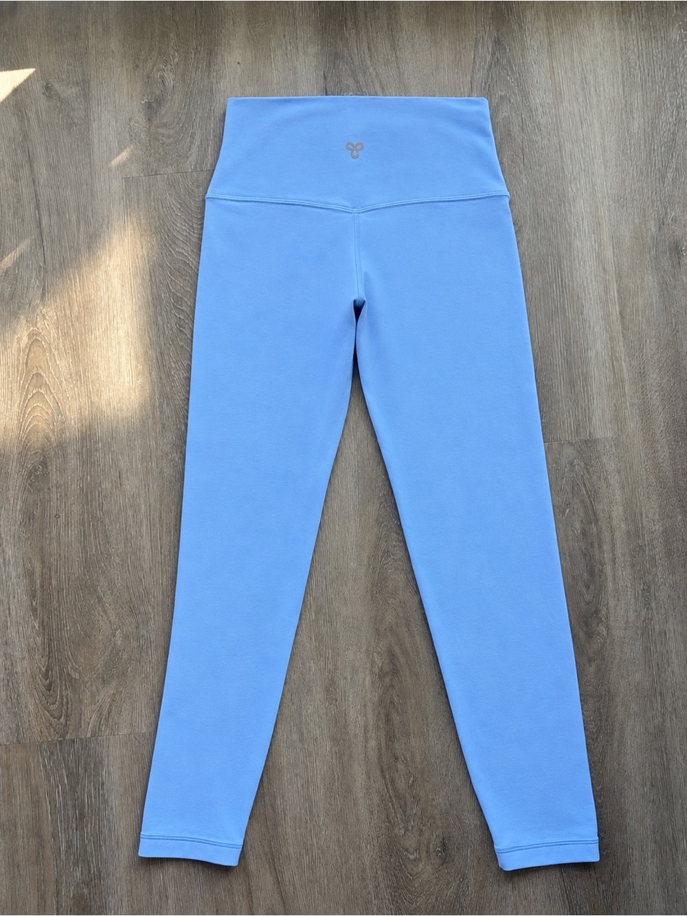 Aritzia butter Blue Seamless High-Rise Leggings